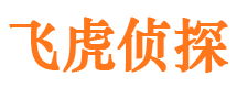 边坝外遇调查取证